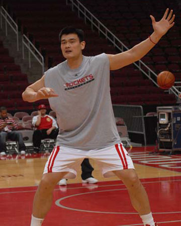 担任副会长 担任副会长