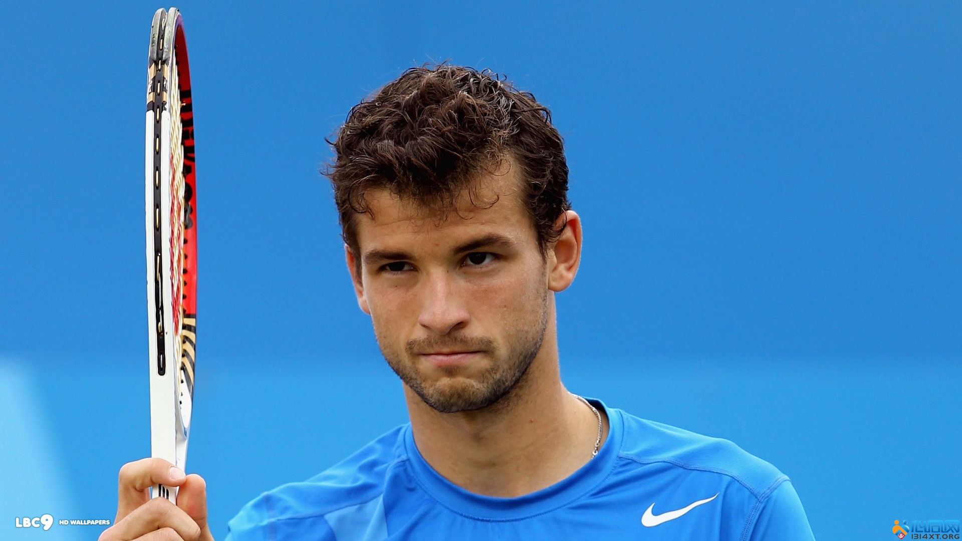 雄鹿在篮板 雄鹿在篮板