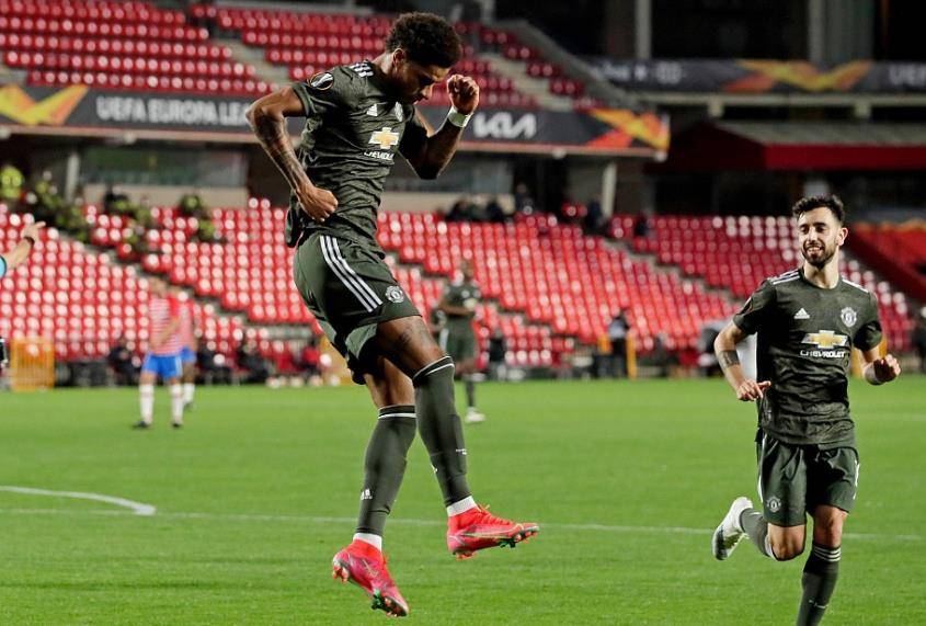 球智慧和马 球智慧和马