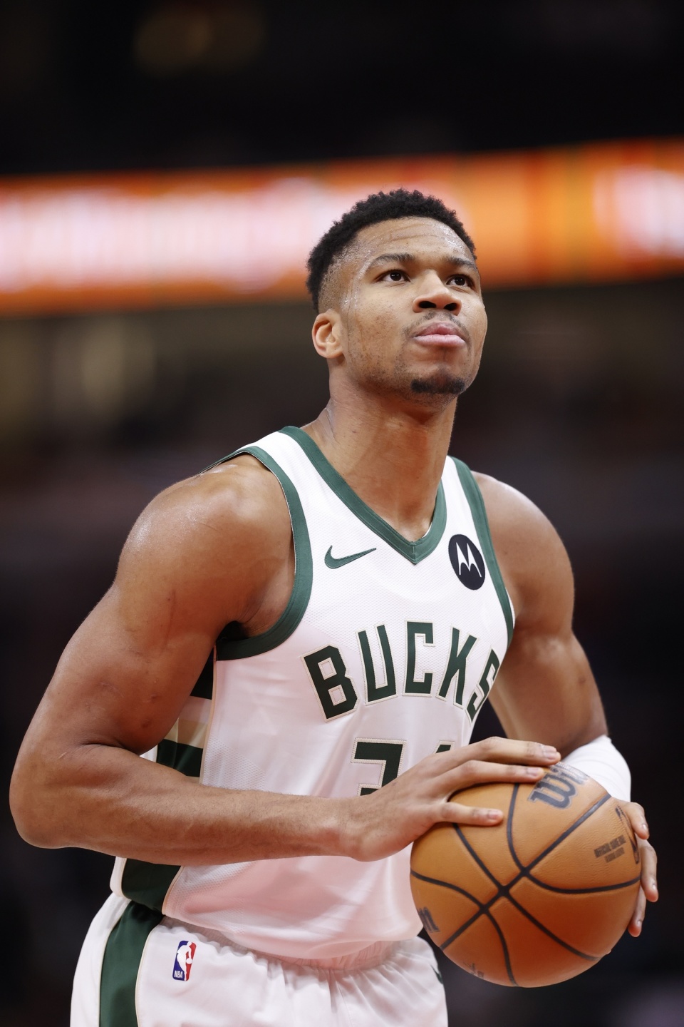 无论你因 无论你因